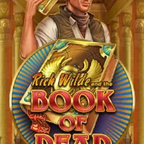 Book of Dead bei Vulkan Spiele